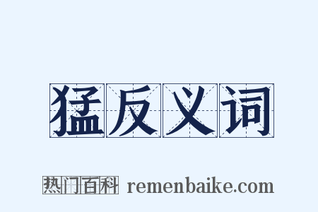 猛反义词是什么意思的图片